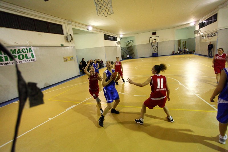 Basket 443082